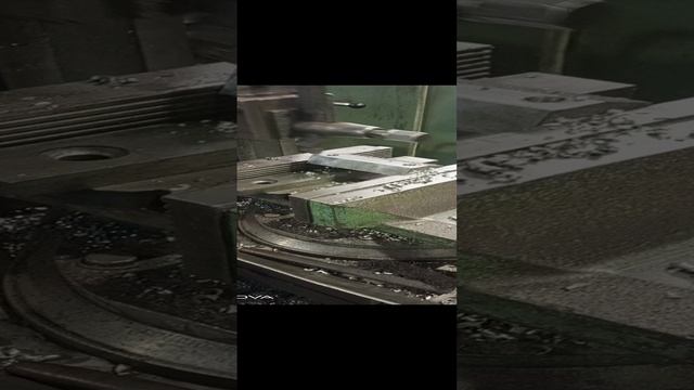 1000052902.mp4