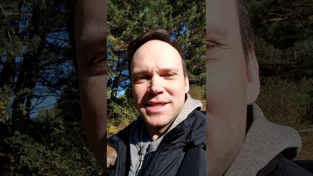 Про современное искусство #юмор #пародия #шутка #прикол