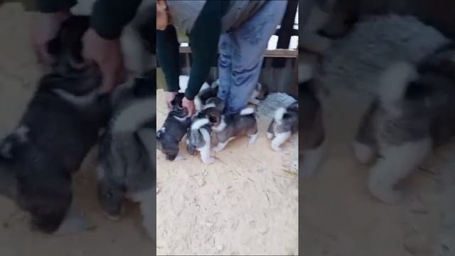 1000012098.mp4