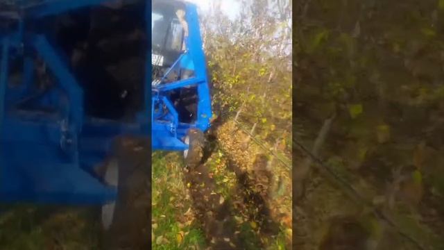 Подрезчик корневой,   для садов и виноградников.