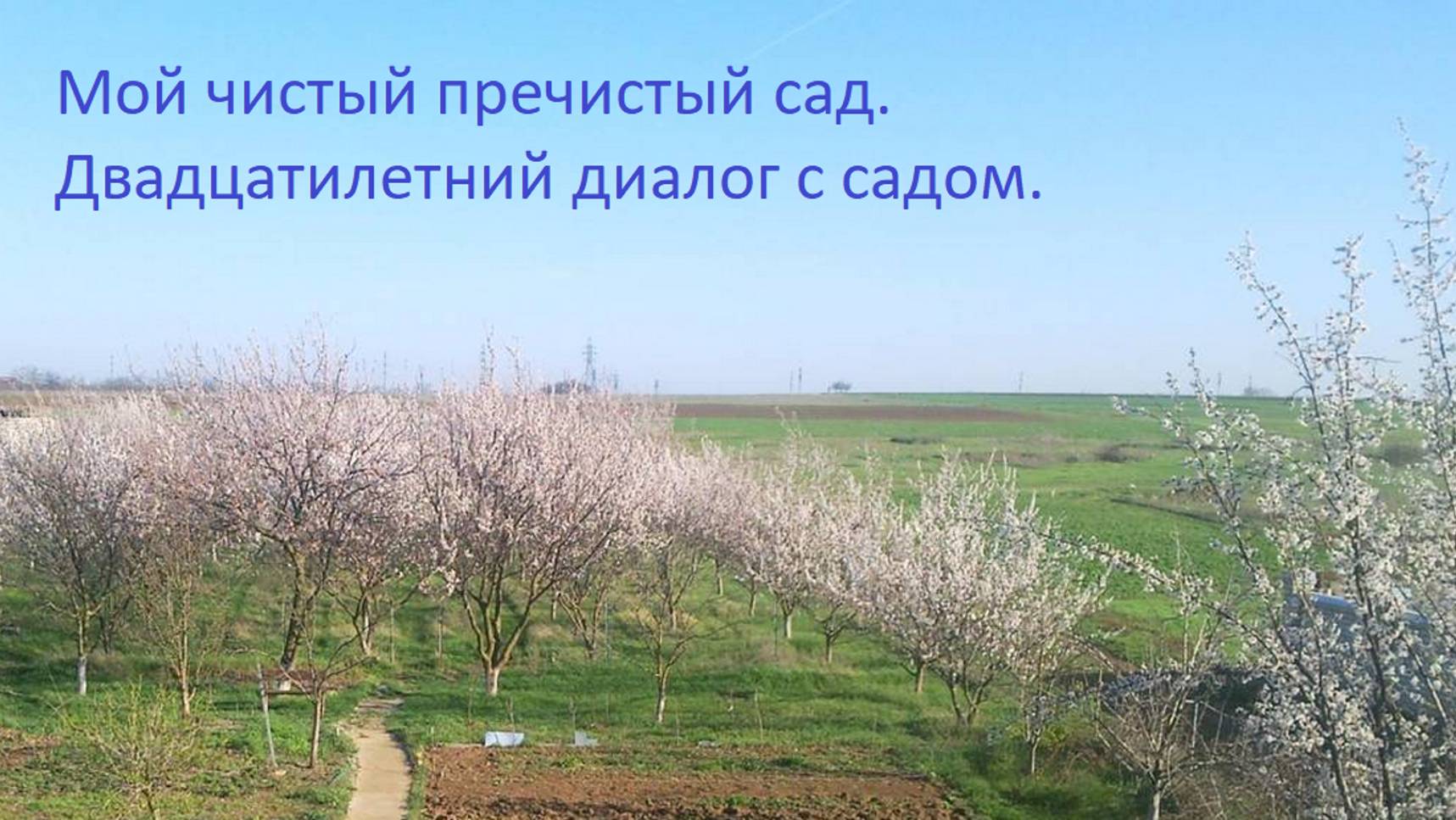 ч 13 Мой чистый пречистый сад Диалог длинною в двадцать лет