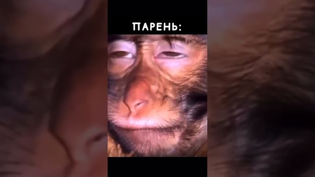 ❗️ Что происходит ??😅🤪