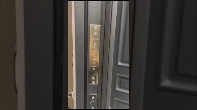 Термо Серая