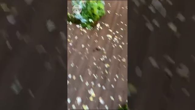 ступеньки ушли из под ног