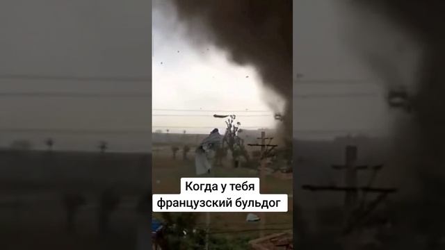 И пусть весь мир подождёт