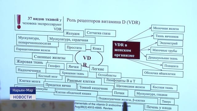ДЕТИ АРКТИКИ