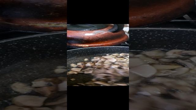 20241205_112231.mp4