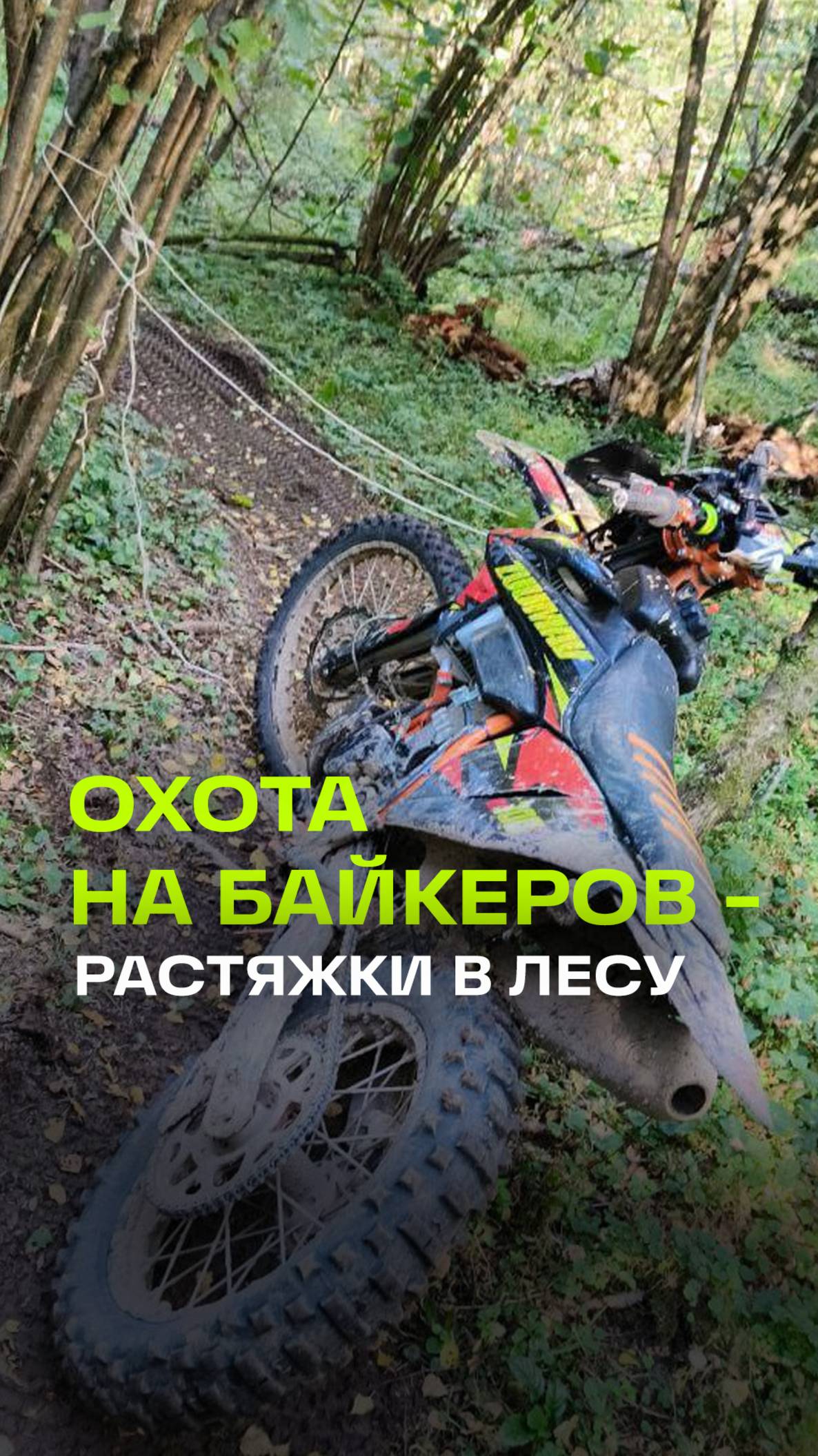 Охоту на байкеров устроили в лесу Солнечногорска