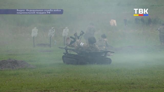 «Кобальт-2024»: учения боевых групп спецназа ОДКБ прошли под Новосибирском