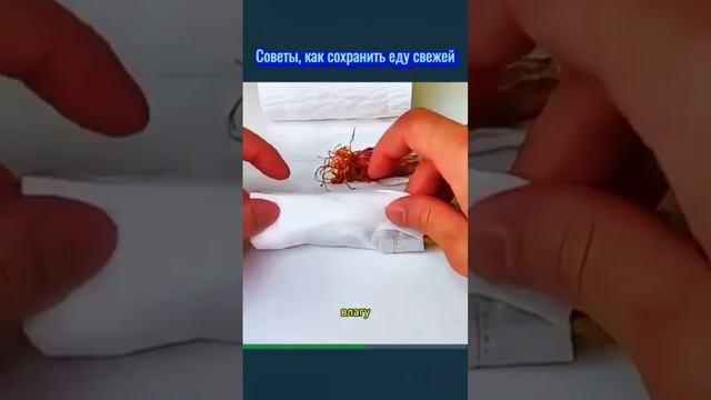 scene_output.mp4