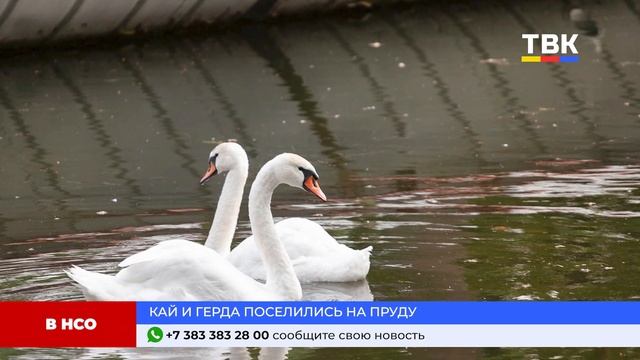 Программа "Дайджест" 22-08-24