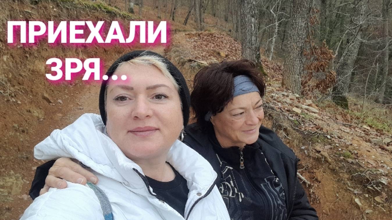 Мы все вместе 6 часов в дороге Влоги с юга