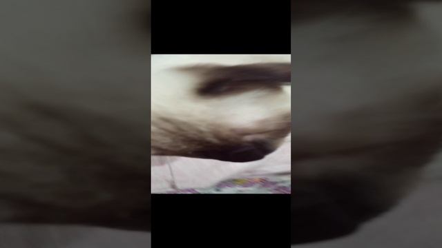 точные танцы, закрывая глаза.