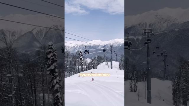 Куда на Новый год во Франции?