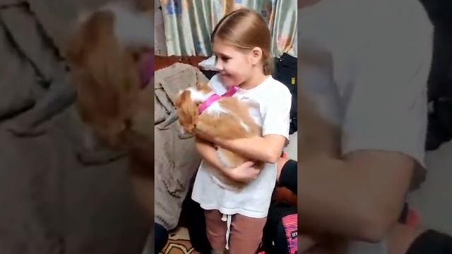 Щенок Кавалер Кинг Чарльз спаниель 🐶 нашёл свою семью 🏡 ♥️  SALE PETS RUSSIA 🇷🇺