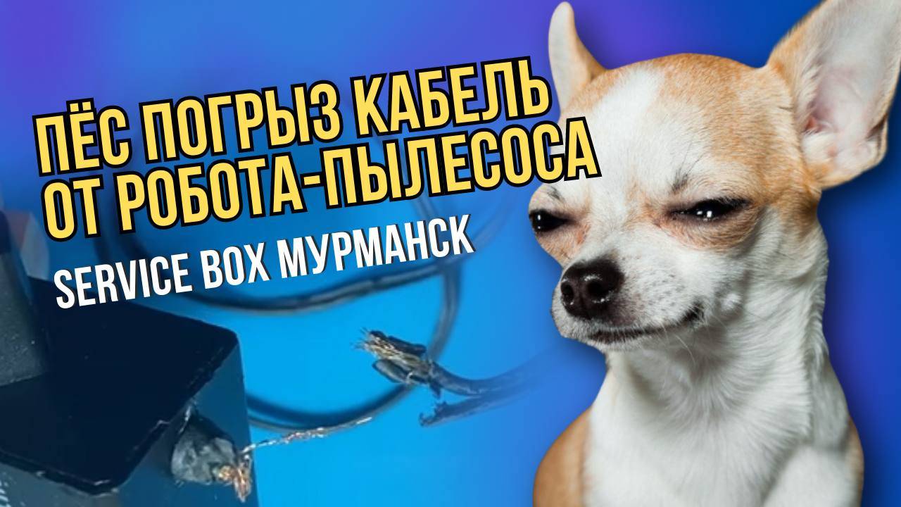 Принесли блок питания от робота-пылесоса. Кабель у основания отгрызен собакой.
