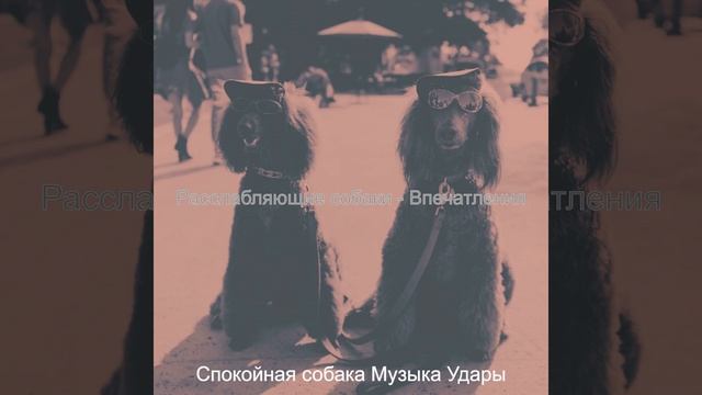 Музыка (Милые Собаки)