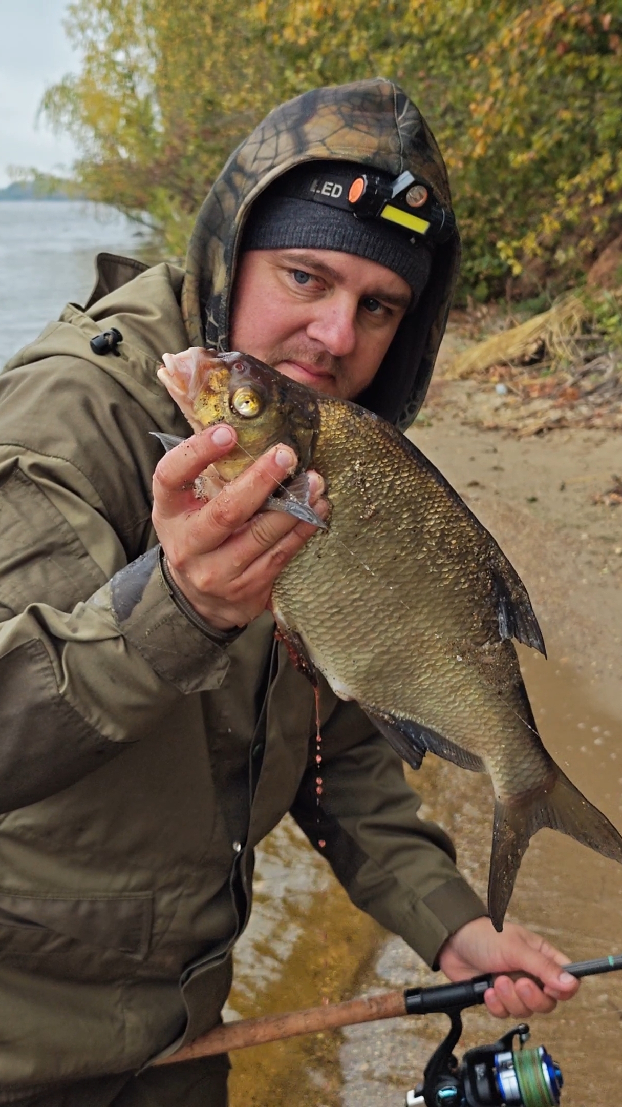 #лещ #рыбалка #fishing #рекомендации #fish #топ