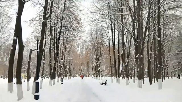 Гуляю в парке Читаю стихи Мысли про Украину
