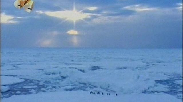 BBC Девятый вал Freak Wave (Horizon)