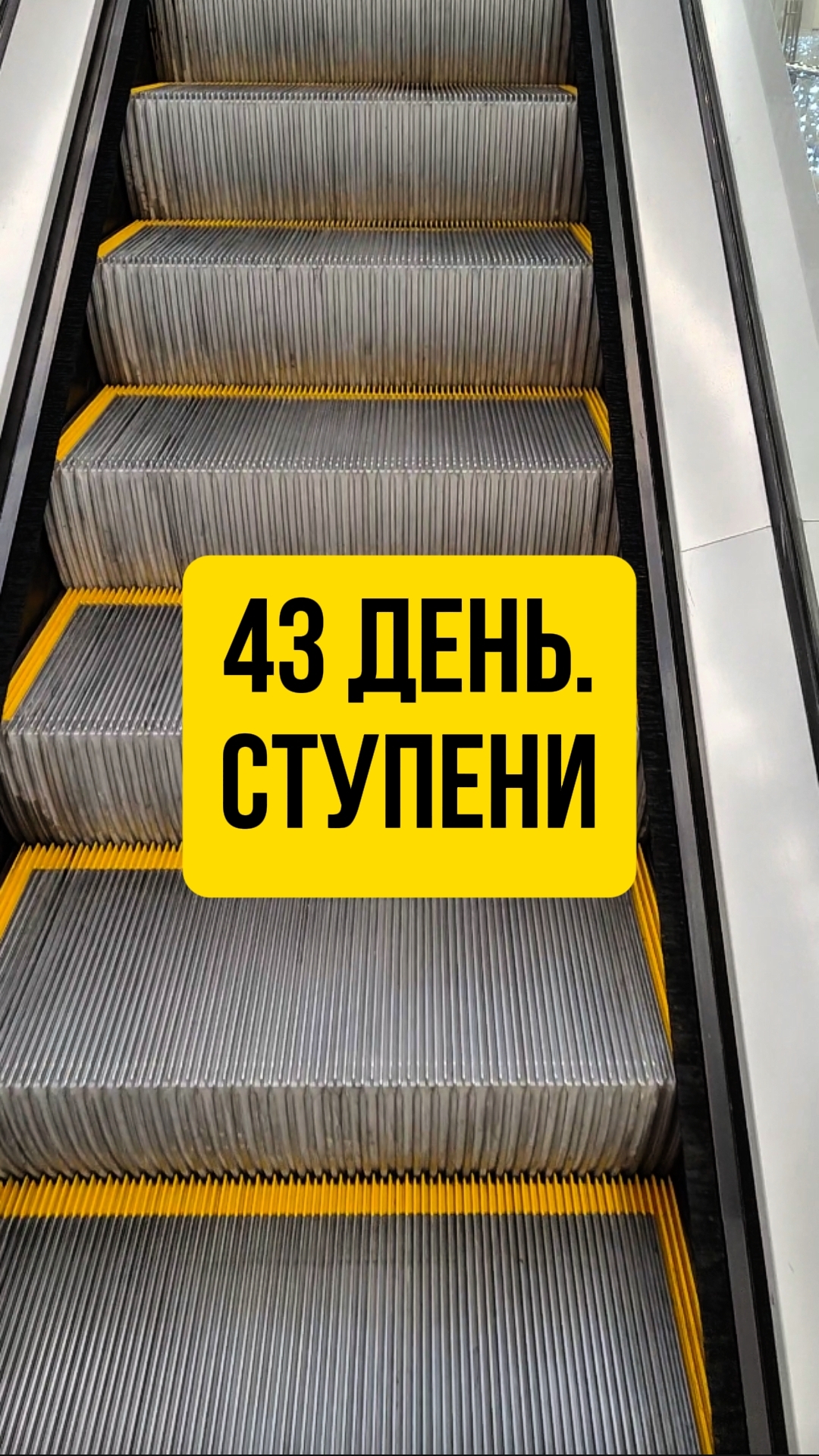 43 день. Ступени