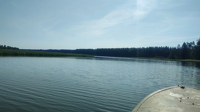 VID_20230809_101741