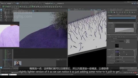 25.Grooming - T-shirt Fuzz and Wrap-up
