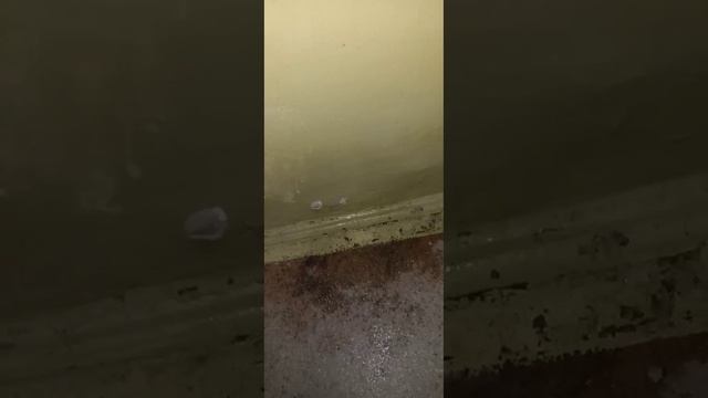 Аномалия