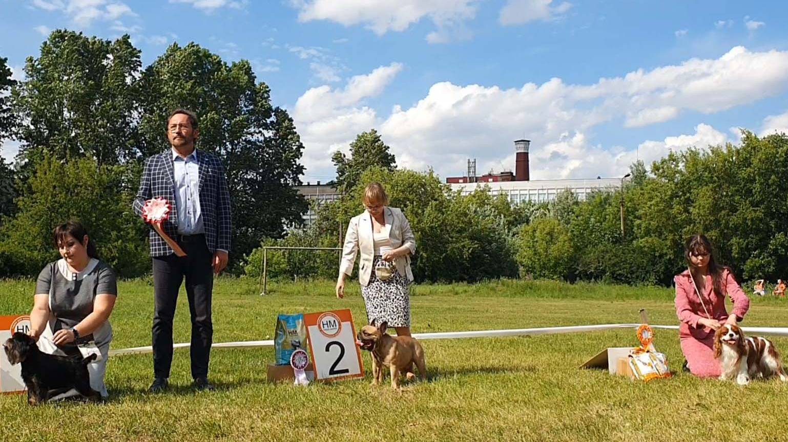 07.07.2024, СПб. Клуб "Бэст-Клуб", СПб. Выставка собак CAC 9 группы FCI