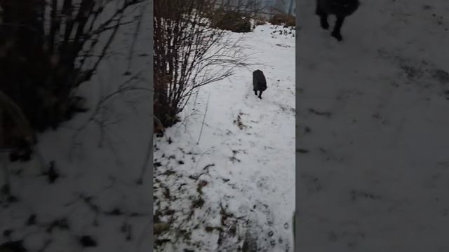 Ребята от нечего делать пошли до городу Парижа 🌞🗼❤️🐈🐈⬛🐈🐈