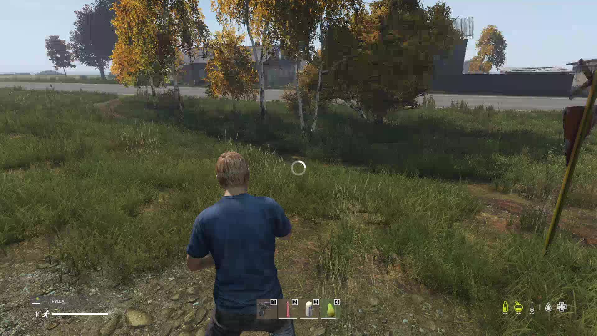 DAYZ сиси