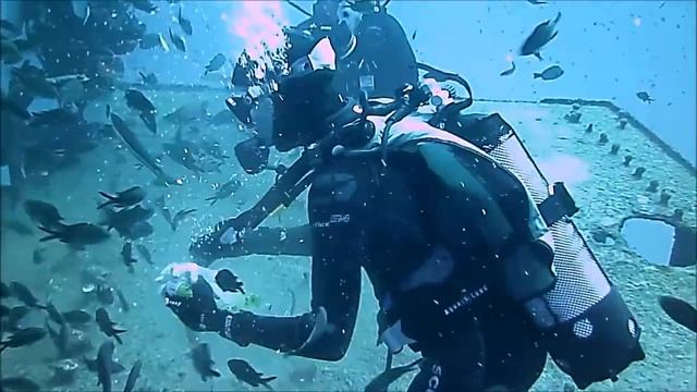 Diving with Gareth and Shaun