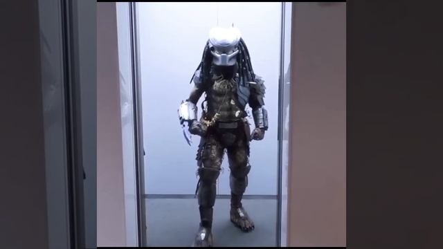 кто ты - воин?
