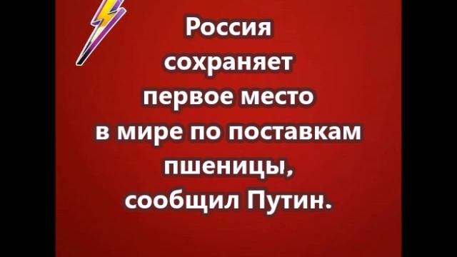 Россия сохраняет первое место в мире по поставкам пшеницы