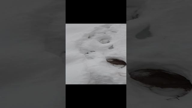 1000015885.mp4