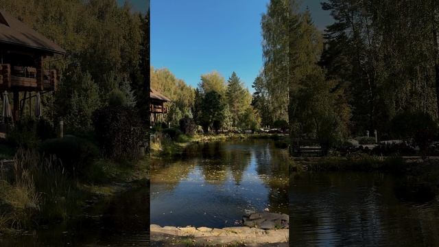 Экоотель Романов лес - путешествие для души и разума.