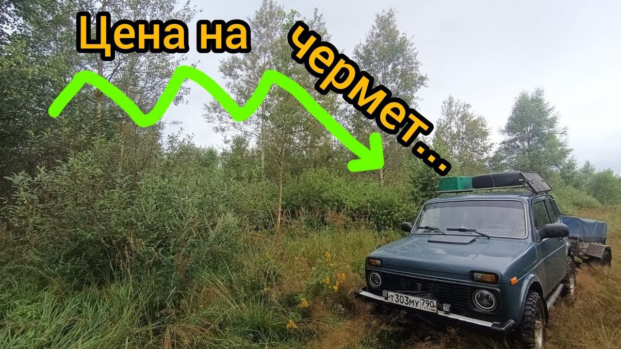 Металлокоп на дальней стоянке.