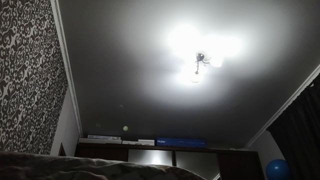 VID_20241205_145044.mp4