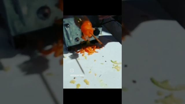 espaguete de abobrinha, cenoura com brócolis e molho branco.