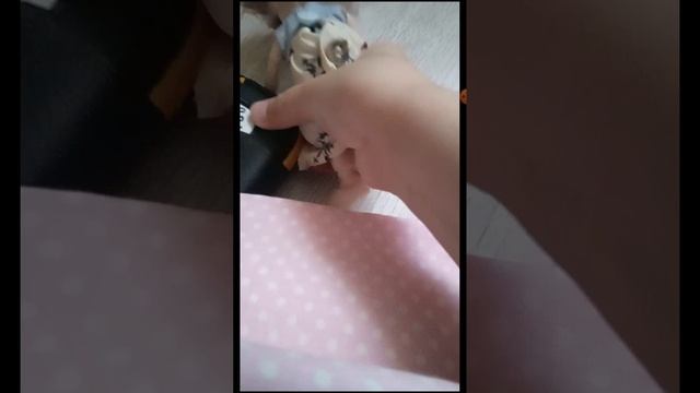 1000003790.mp4