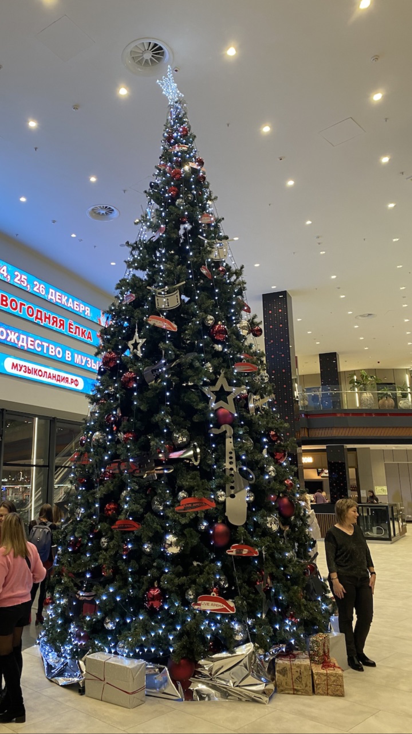 Тополиный ПУХ (Иванушки, Live Арена, 30.11.2024)