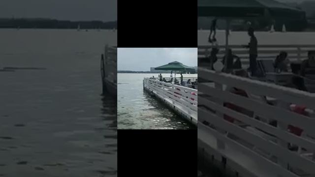 Строгино Парк Березы
