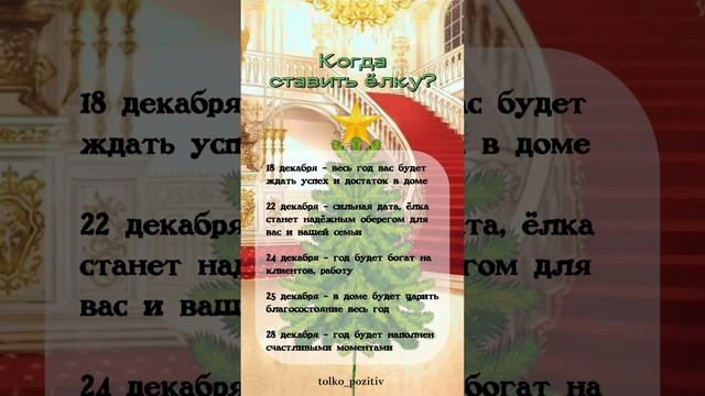 Когда наряжать елку?