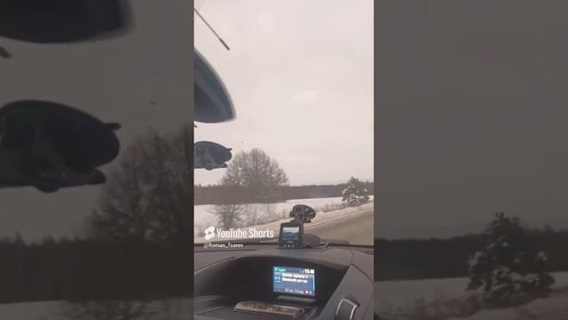 Едем на дискотеку, с недовольным котом 😁 #shorts