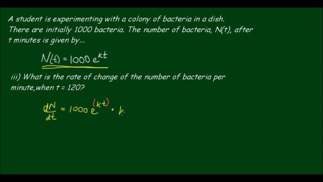 A Little Exponential Growth Problem - Cultivating Bacteria!