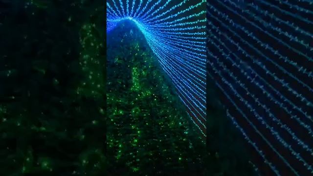 Новогодний Краснодар. Ул. Красная