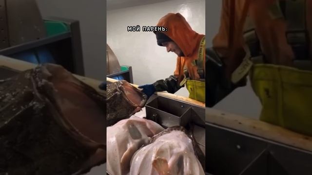 Как у вас с рыбалкой обстоят дела ??😅🤪