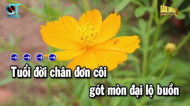 Karaoke Gĩa Từ Tone Nam
