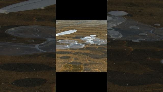 Лёд как стекло. Чудо.