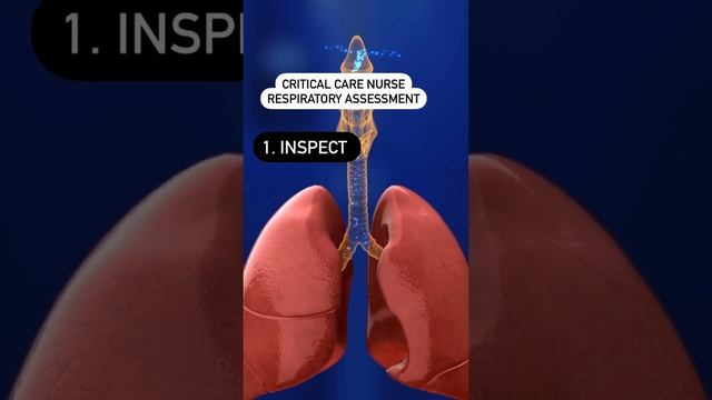 respiratory system respiratory system anatomy and physiology respiratory system crash course icu rn